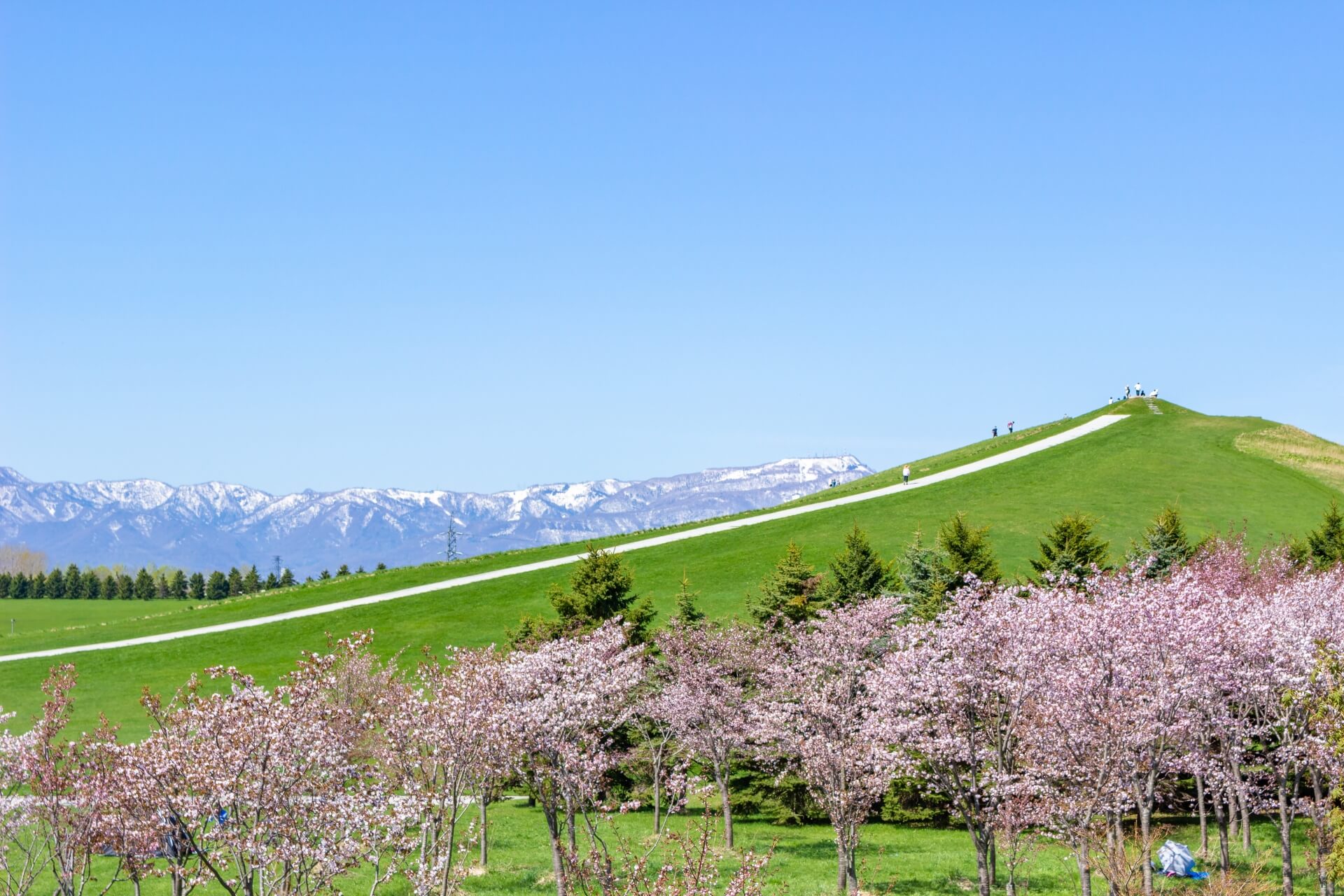 Sapporo Attractions
